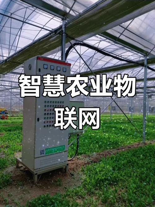 物聯(lián)網(wǎng)科技助力石家莊欒城區(qū)農(nóng)林科技園區(qū)實(shí)現(xiàn)智慧農(nóng)業(yè)新跨越